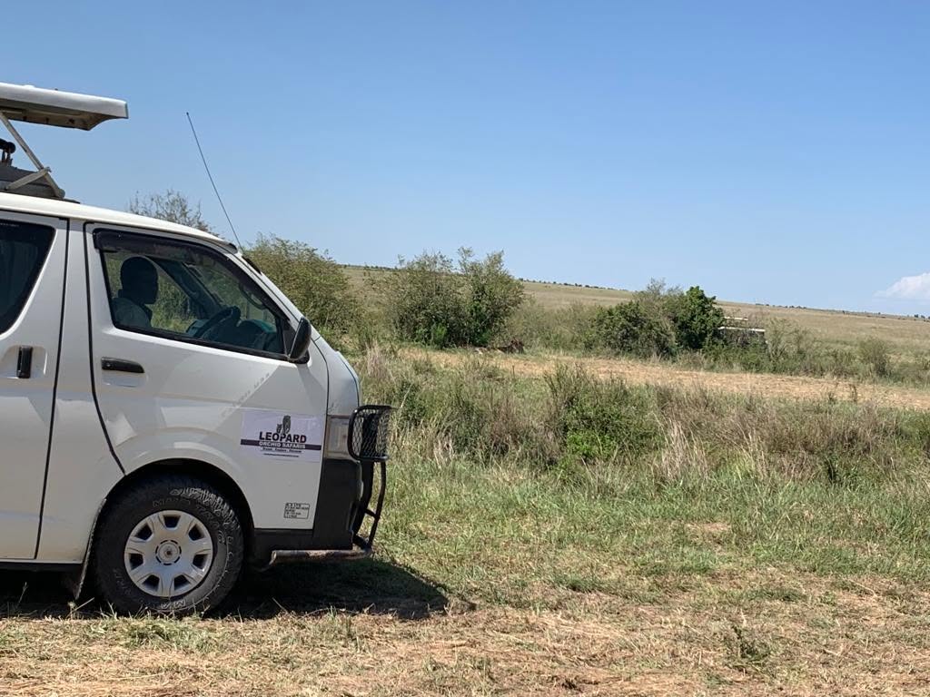 Custom pop-top safari van